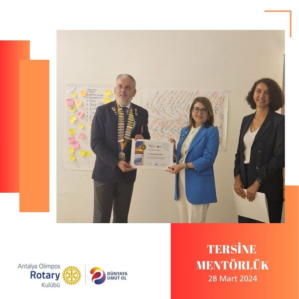 TERSİNE MENTÖRLÜK