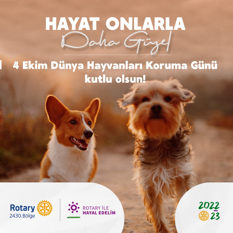 4 Ekim Dünya Hayvanları Koruma Günü