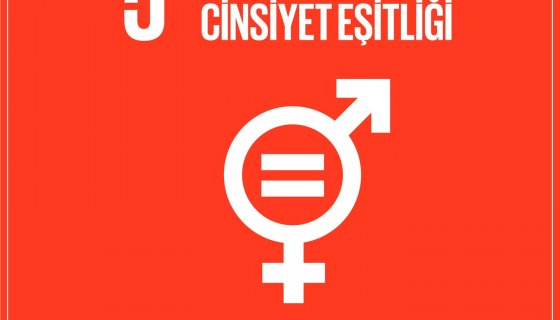 Toplumsal Cinsiyet Eşitliği